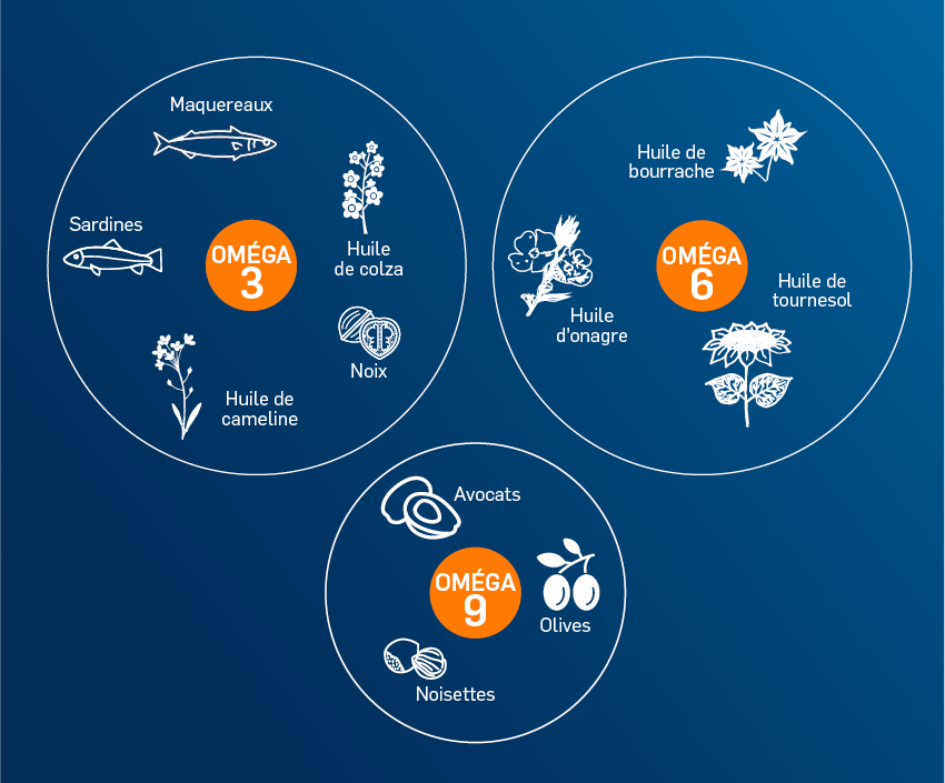 Om ga 3 om ga 6 et om ga 9 des acides gras n cessaires PiLeJe