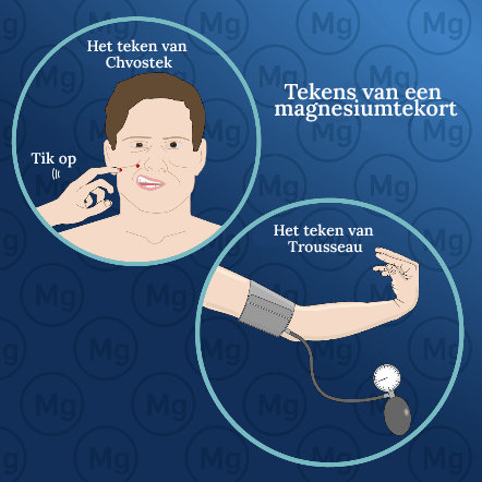 paneel Afleiden perspectief Hoe kiest men de meest geschikte vorm van magnesium?